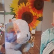 Identifying a Stuffed Puppy - photo of a stuffed dog
