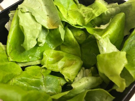 washed lettuce for Pasta Salad
