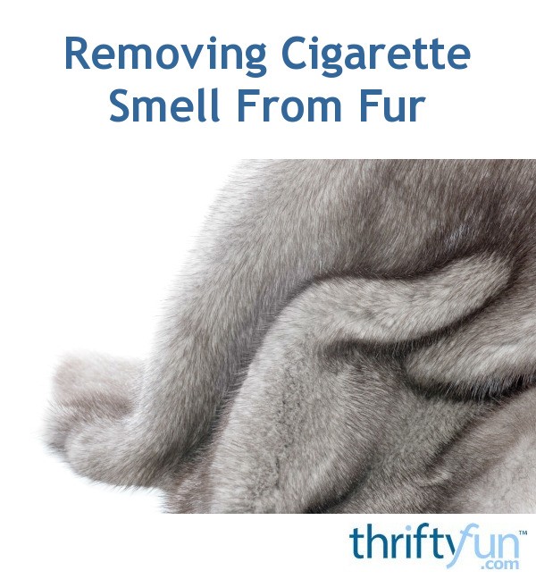 Removing Cigarette Smell From Fur? ThriftyFun