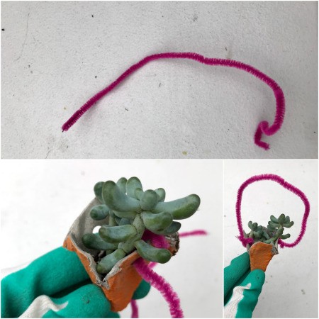 Making Mini Egg Carton Planters - adding pipecleaner