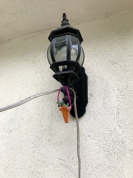 Making Mini Egg Carton Planters - attach the pipe cleaner through the holes for hanging