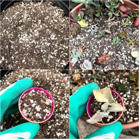 Upcycled Plastic Egg Mini Planter -add soil and succulent