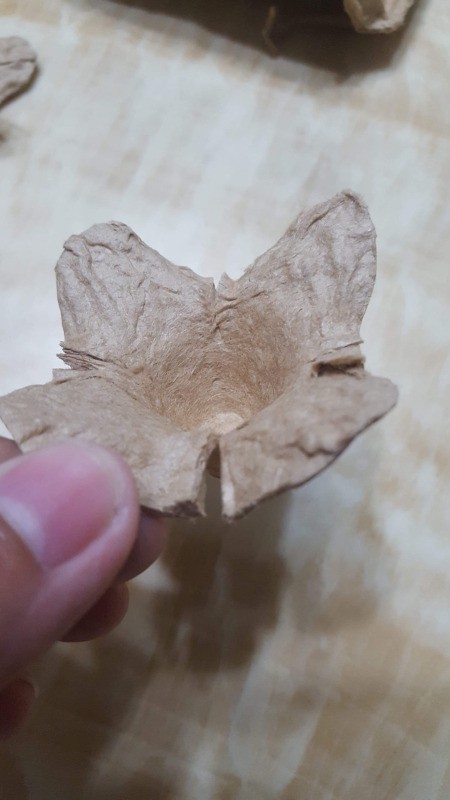 Making Egg Carton Flowers  - cut down in each corner and pull down, looks like flower petals