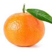 A tangerine on a white background.
