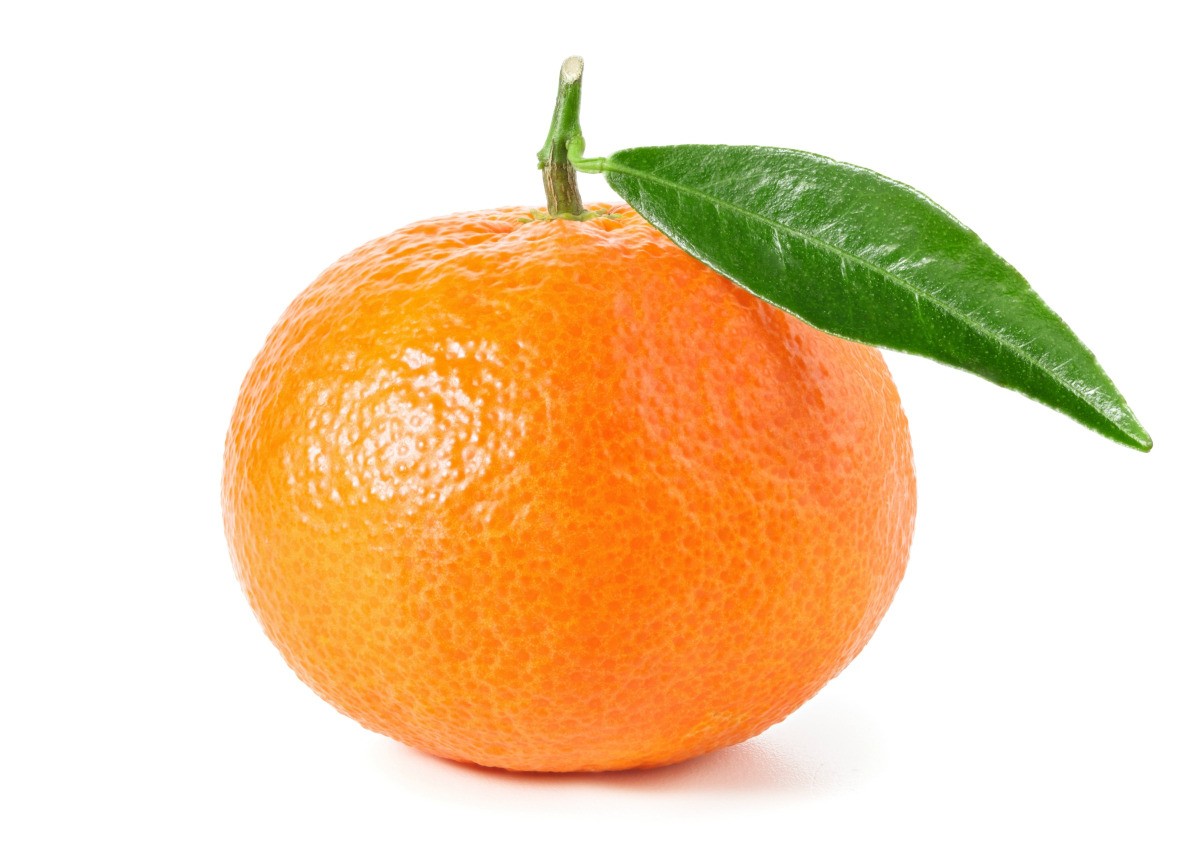 tangerine mangan