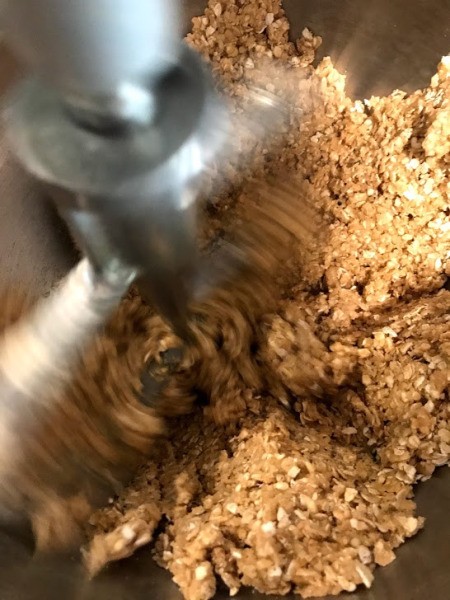 Chocolate Chip Oatmeal Ball Cookies