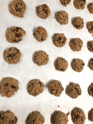 Chocolate Chip Oatmeal Ball Cookies