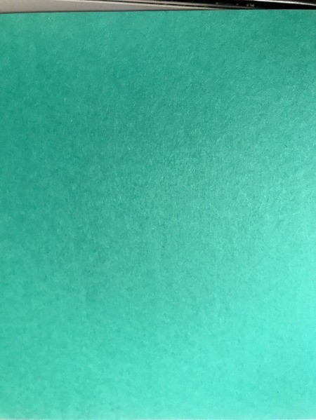 Turtle Framed Art - fold a piece of construction paper in half