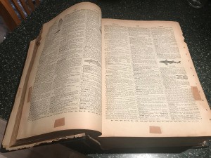 Value of a 1901 Webster's International Dictionary  - open old dictionary