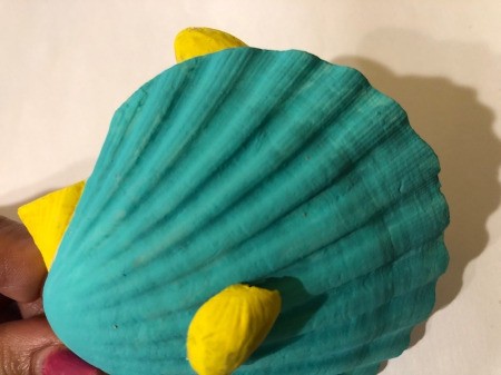 Make a Tropical Fish from Shells - glue one pistachio shell to the side of the scallop shell as a fin and other on the top as a dorsal fin