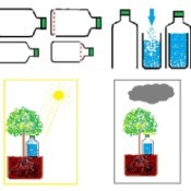 A diagram showing a plant watering system for on vacation.