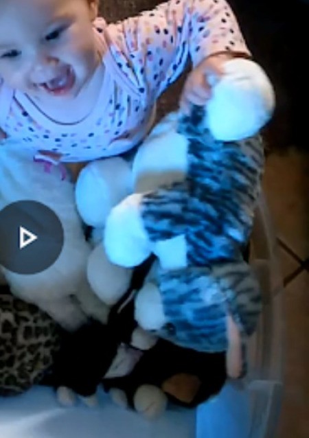 Identifying a Stuffed Toy