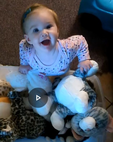 Identifying a Stuffed Toy