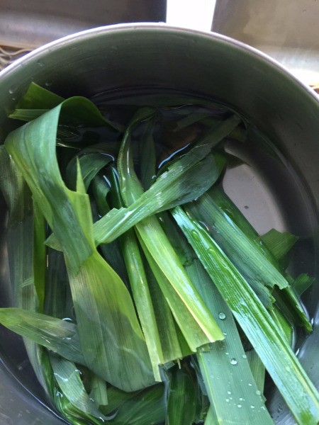 Pandan leaves