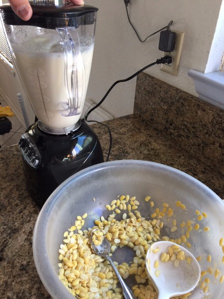 Soy beans in blender