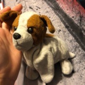 Identifying an Old Stuffed Dog - brown and white stuffed puppy