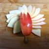 How to Make Apple Bunnies and Flowers  - arrange slices as petals, top with the notched wedge, the apple stem serves as the flower stem