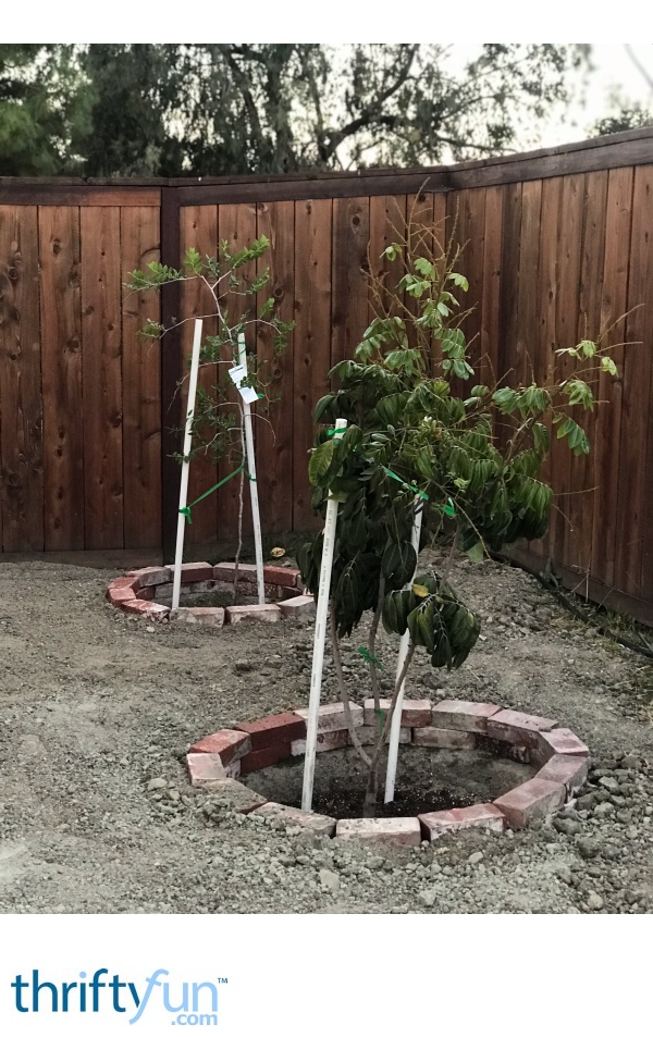 Using PVC Pipe as Garden Support Stakes ThriftyFun