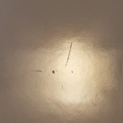 Identifying Tiny Black Bugs - very small bugs