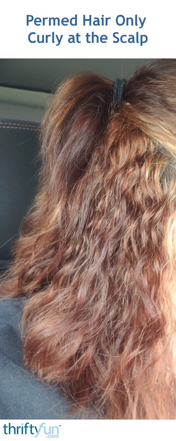 Permed Hair Only Curly at the Scalp? ThriftyFun
