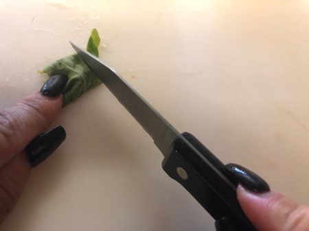 cutting rolled basil leaves