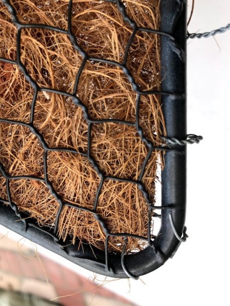 Heart Succulent Wreath - from the front