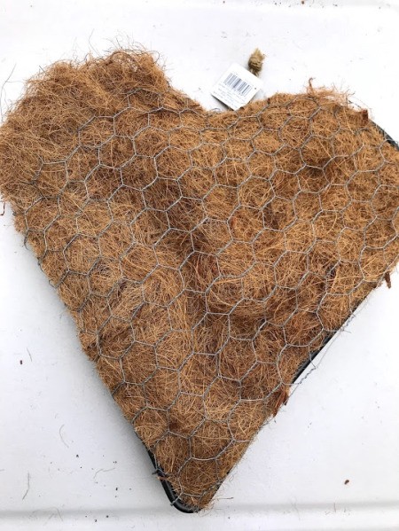 Heart Succulent Wreath - full view of the back with the wire in place half way around