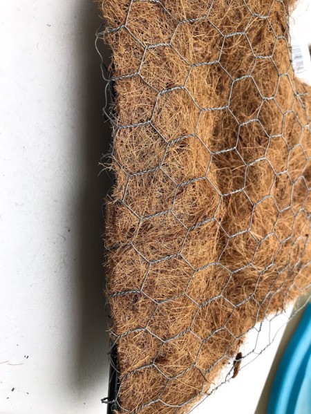 Heart Succulent Wreath - closeup of the back, showing loose area