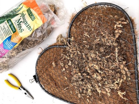 Heart Succulent Wreath - add moss through the open area