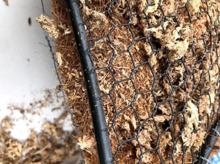 Heart Succulent Wreath - closeup of moss