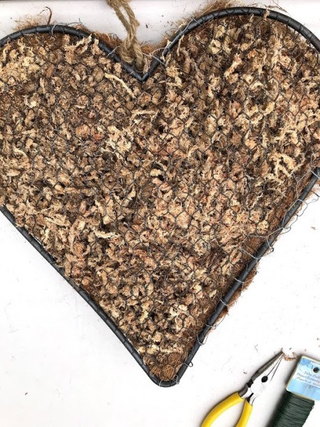 Heart Succulent Wreath - moss between the wire and the liner