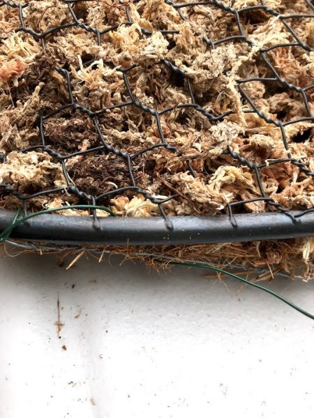 Heart Succulent Wreath - use plant training wire to secure the edges