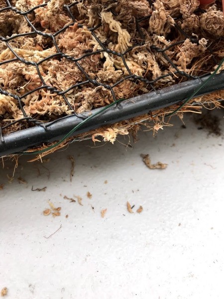 Heart Succulent Wreath - closeup of wire wrapped around the form to secure everything in place