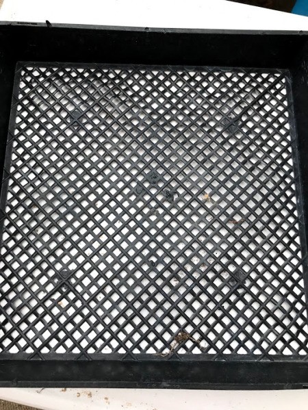 Heart Succulent Wreath - black plastic tray