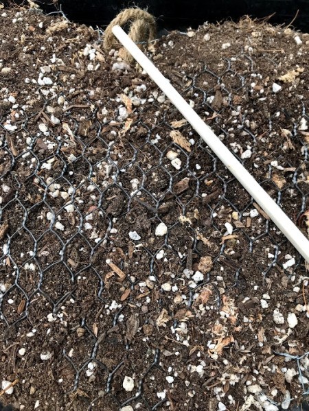 Heart Succulent Wreath - use a chopstick to poke holes for planting