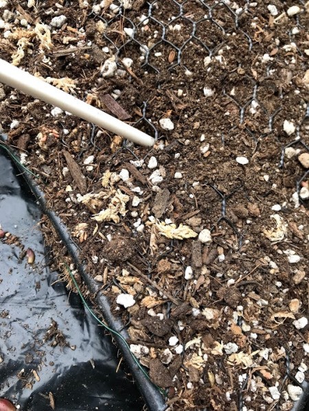 Heart Succulent Wreath - poking hole through the chicken wire