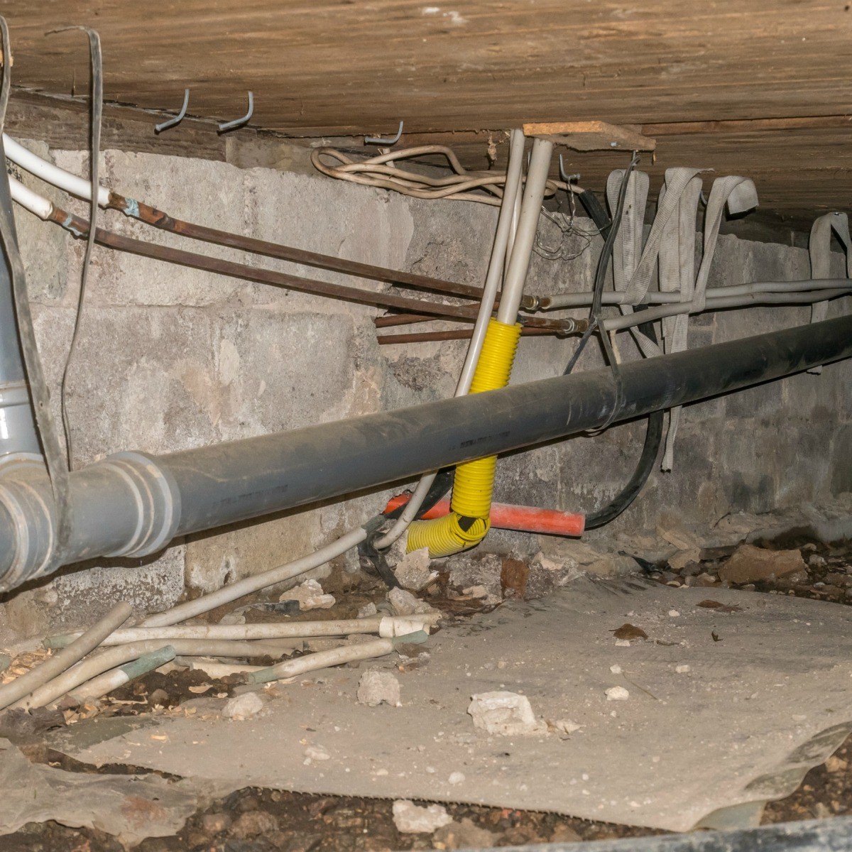 Getting Rid of Pests in a Crawl Space ThriftyFun