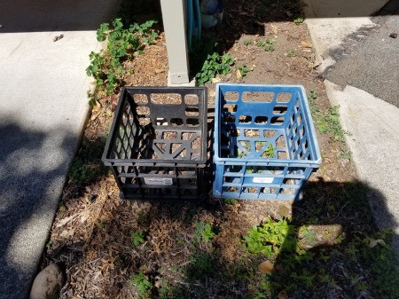 Temporary Crate for My New Cat Conner - supplies