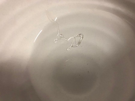 Making Rainbow Lollipops