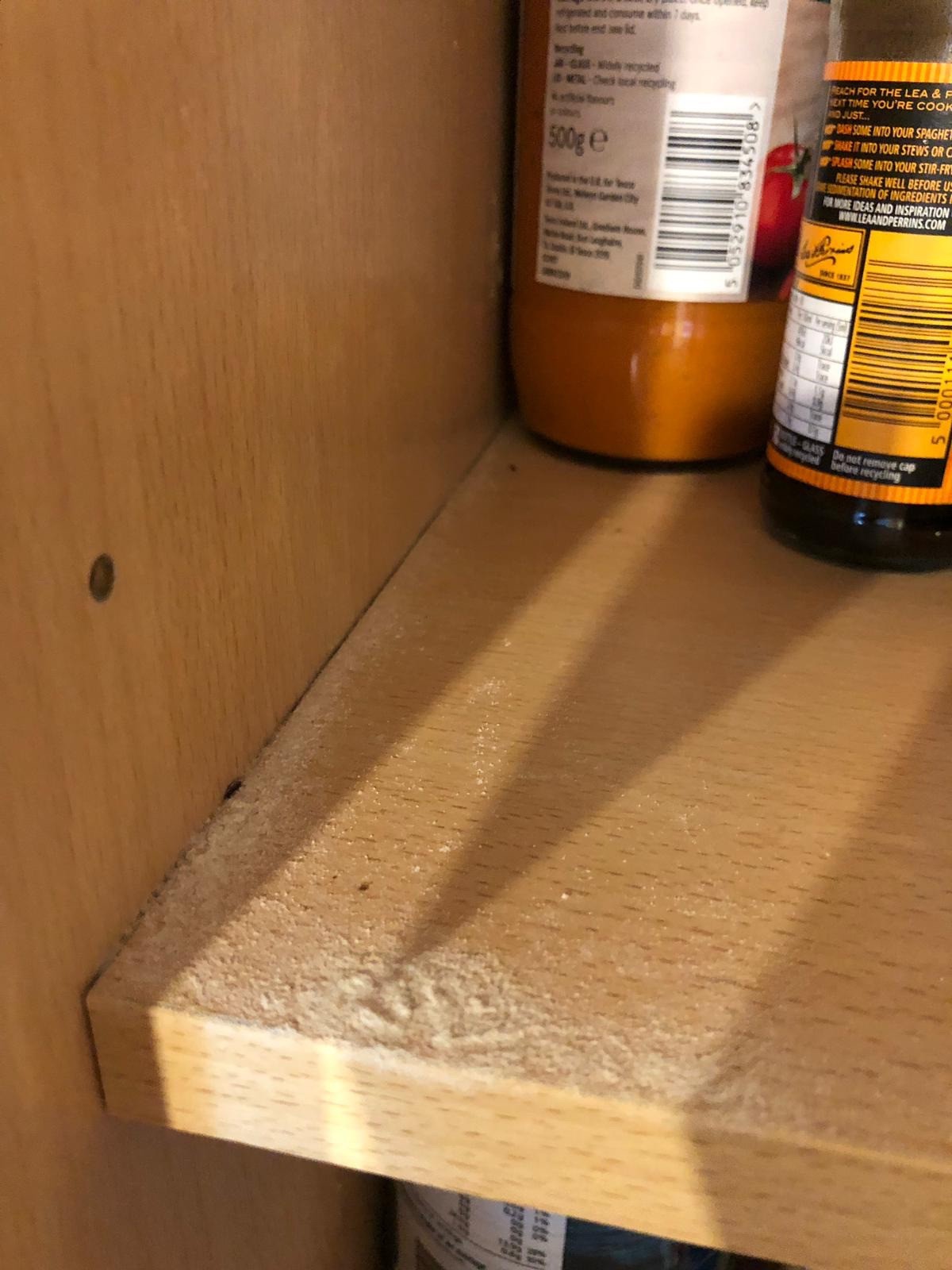 Getting Rid Of Black Bugs In Kitchen Cabinets Thriftyfun