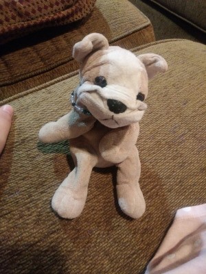 Identifying a Stuffed Plush Dog - cute stuffed dog