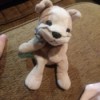 Identifying a Stuffed Plush Dog - cute stuffed dog