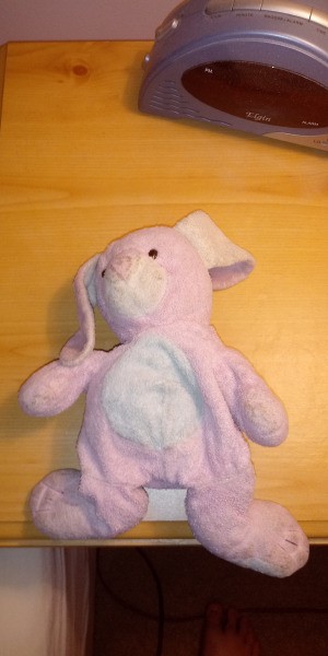 Identifying a Stuffed Rabbit - pink and white stuffed rabbi