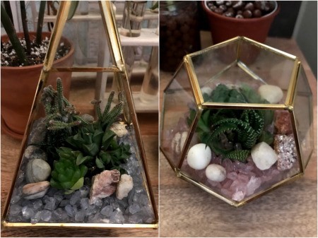 How to Make a Plant Terrarium - finished succulent terrariums made with brass edged glass containers