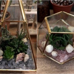 How to Make a Plant Terrarium - finished succulent terrariums made with brass edged glass containers