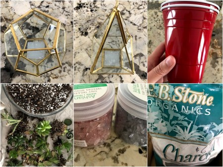 How to Make a Plant Terrarium - supplies