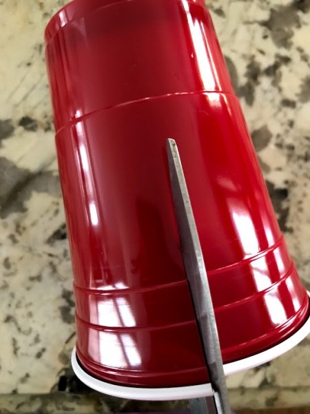 How to Make a Plant Terrarium - cut cup to fit