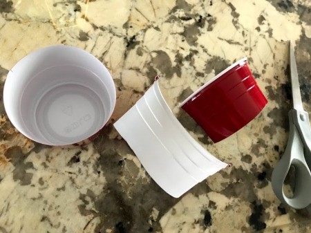 How to Make a Plant Terrarium - height of cup cut down