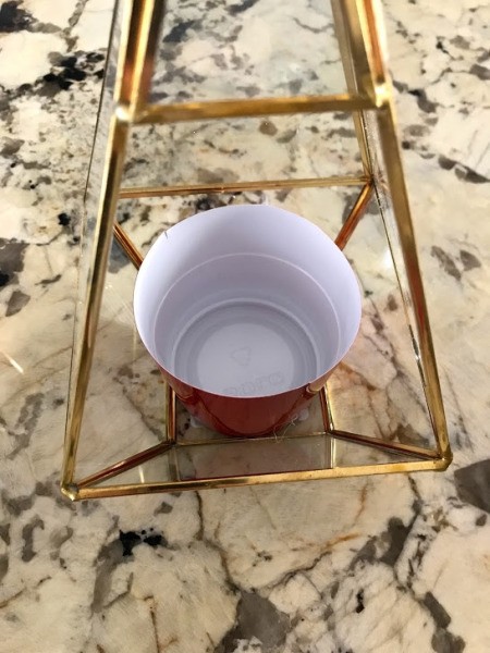 How to Make a Plant Terrarium - cup in terrarium with lid open