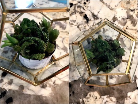 How to Make a Plant Terrarium - place planted cups in terraniums